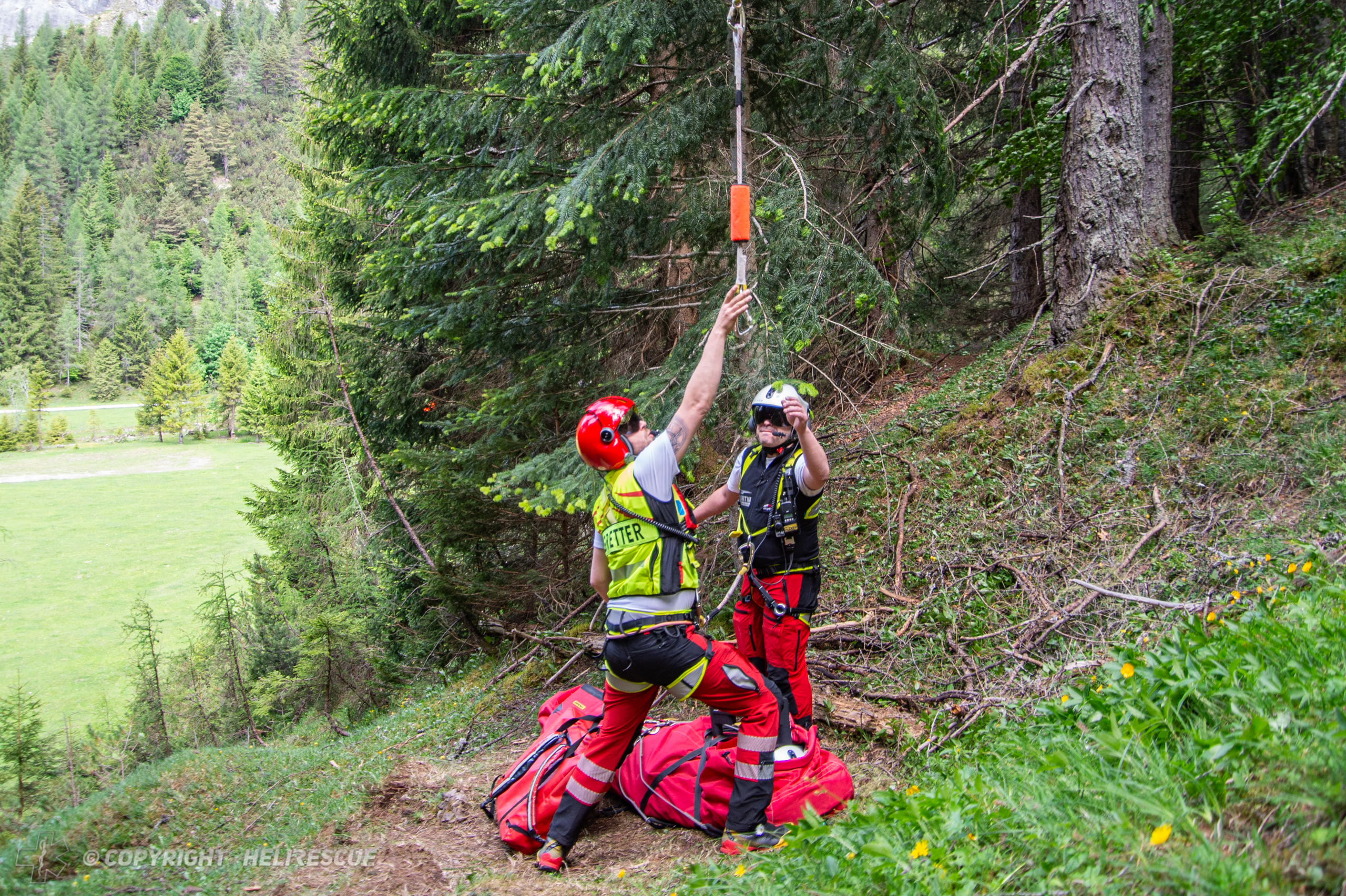 MF_Training_2026 (7)