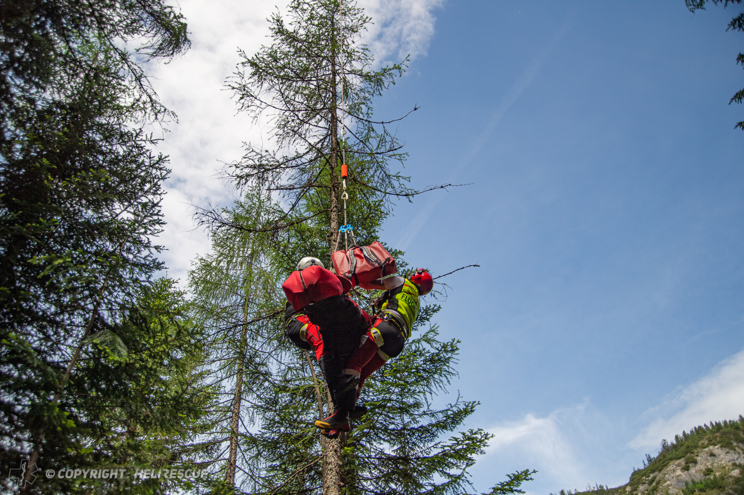 MF_Training_2026 (9)